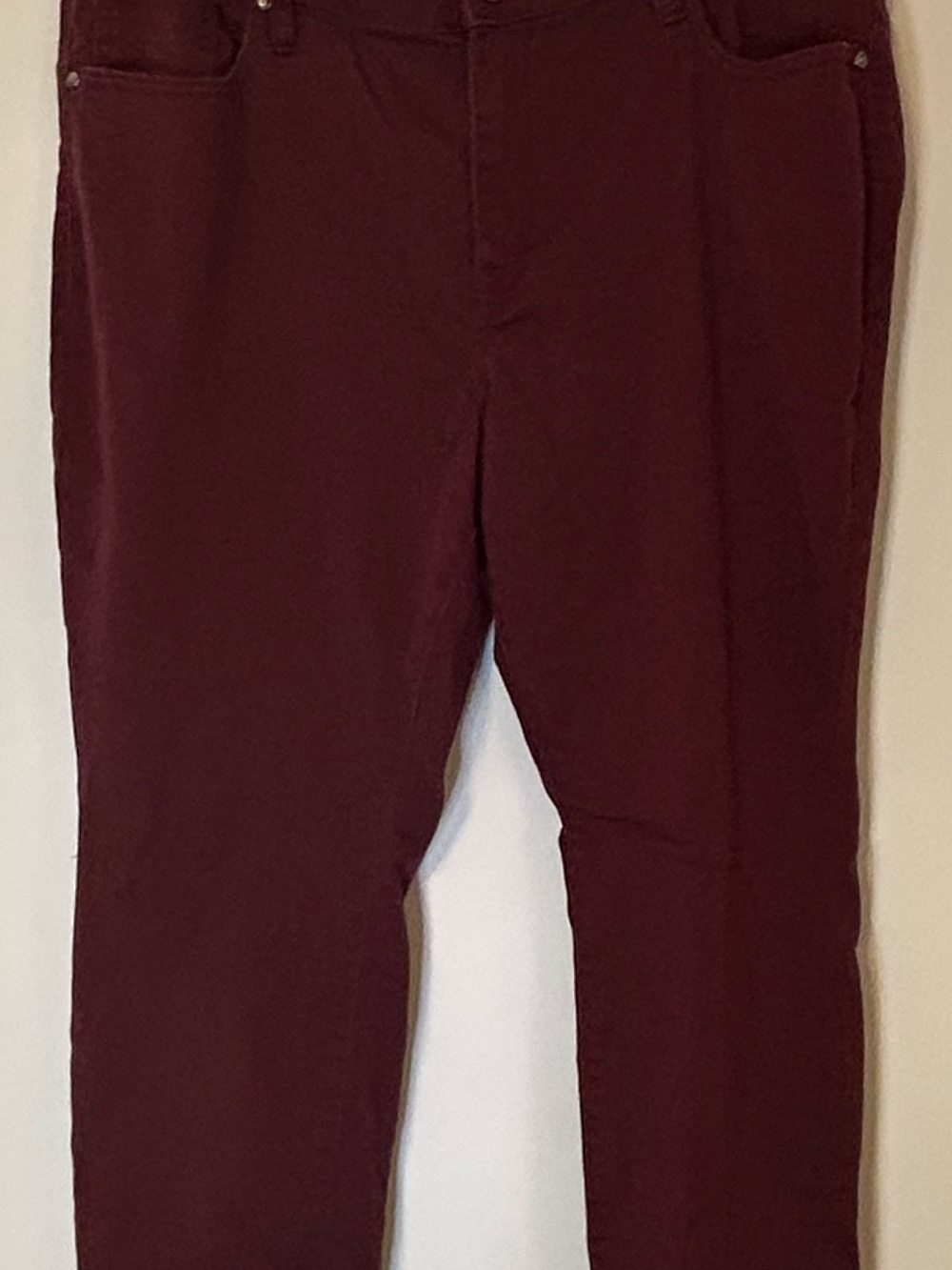 Lane Bryant Fitted Pants Burgundy